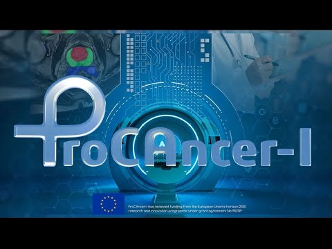 ProCAncer-I project vision and results