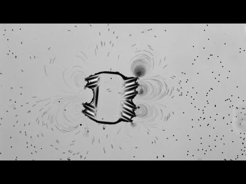 This microrobot mimics a starfish larva