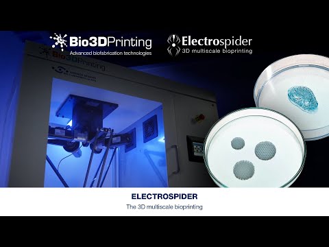 Electrospider, the 3D multiscale bioprinting